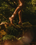 À pas de loup
