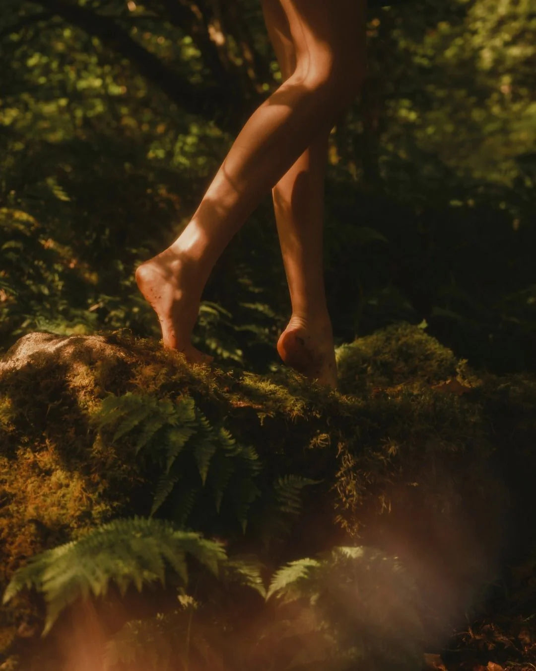 À pas de loup