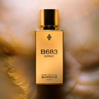 B683 Extrait