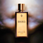 B683