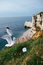 Falaise 49.5°N