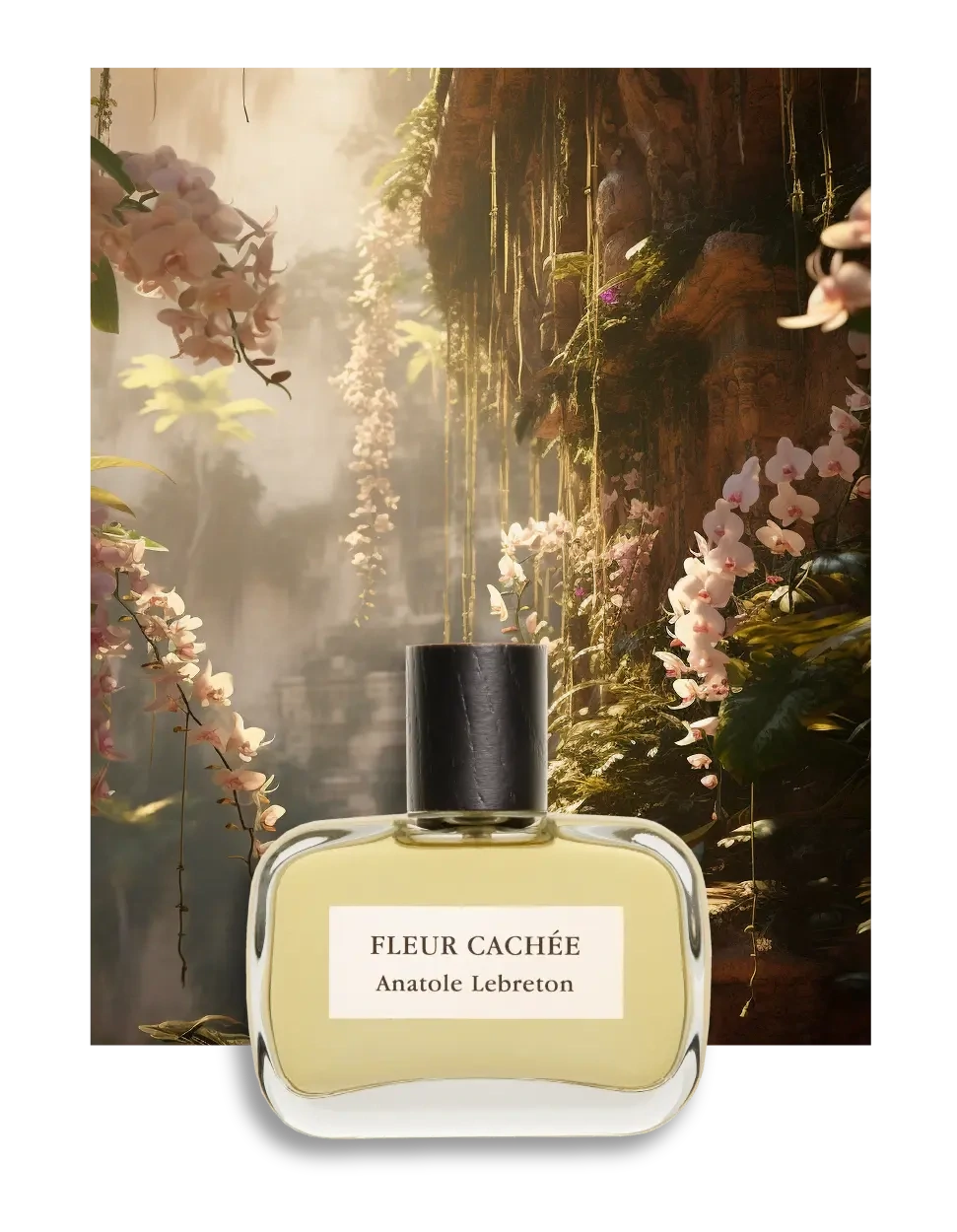 Fleur Cachée