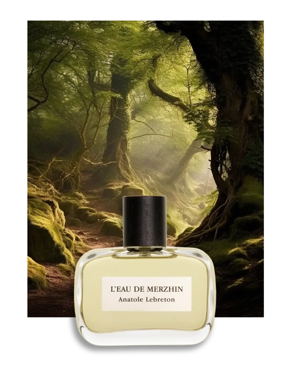 L’eau de Merzhin
