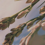 Carnal Flower