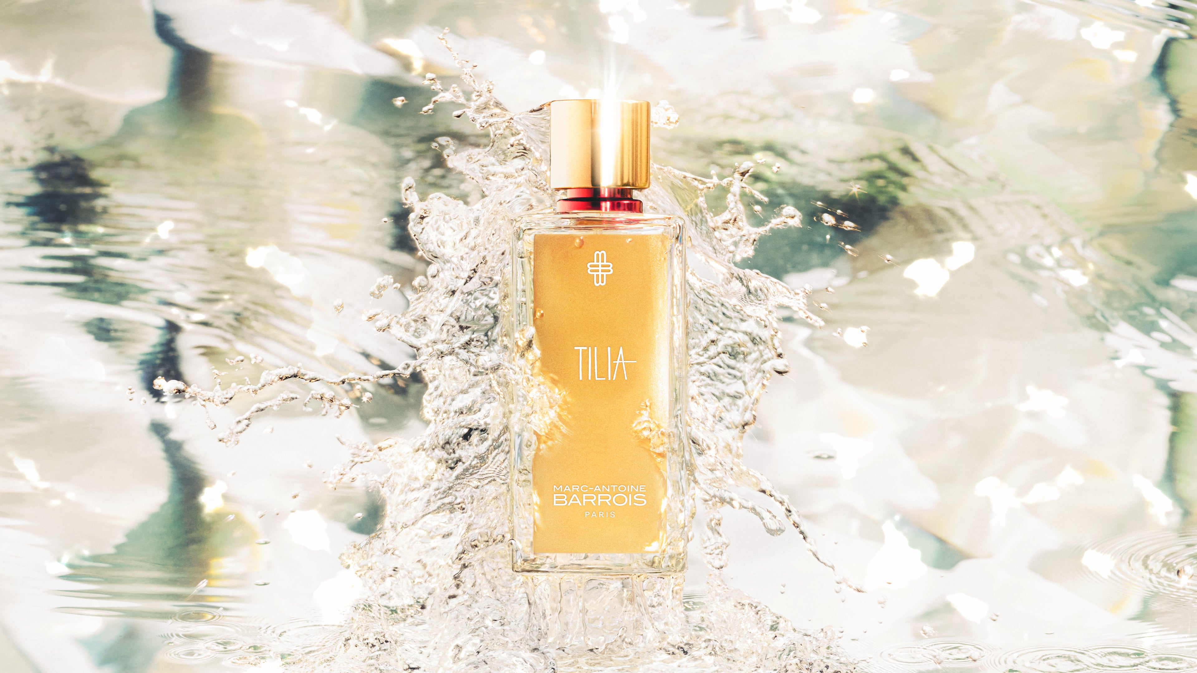 Tilia