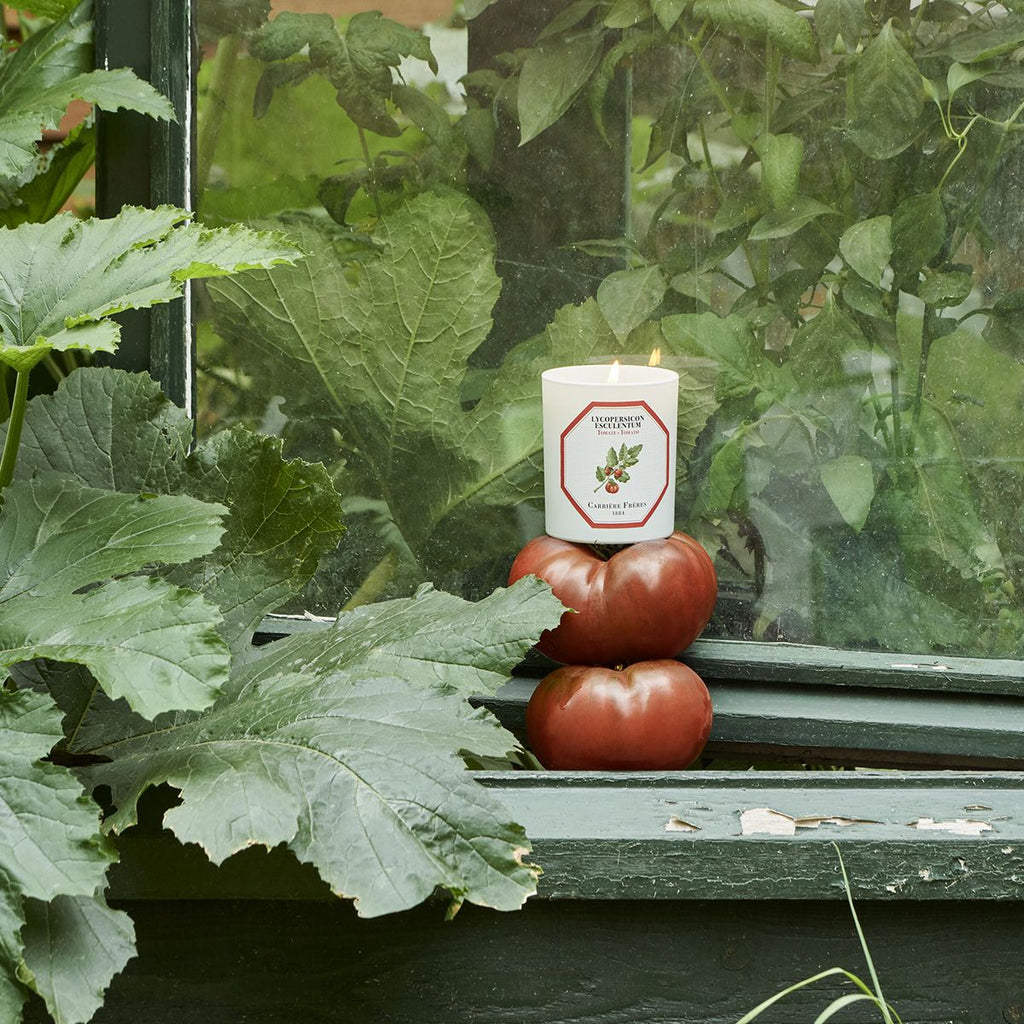 Bougie Tomate