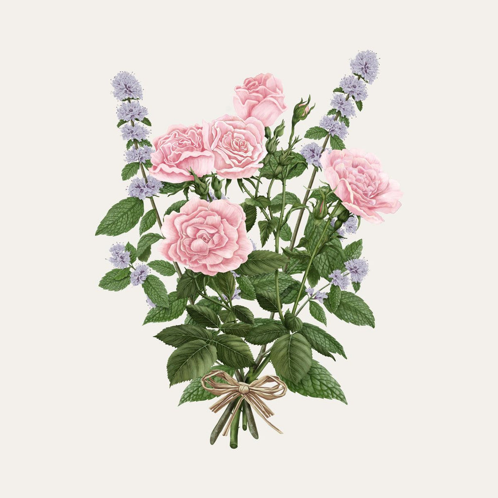 Bougie La Rose Aime La Menthe
