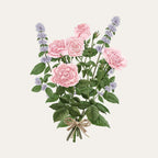 Bougie La Rose Aime La Menthe