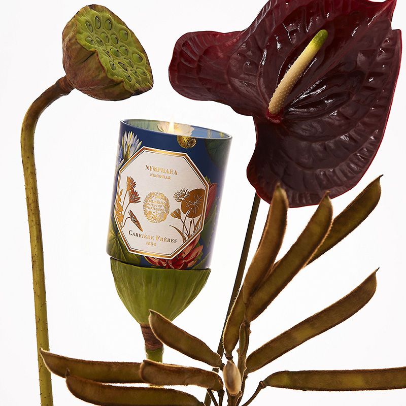 Bougie Nénuphar