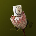 Bougie Rosa Damascena