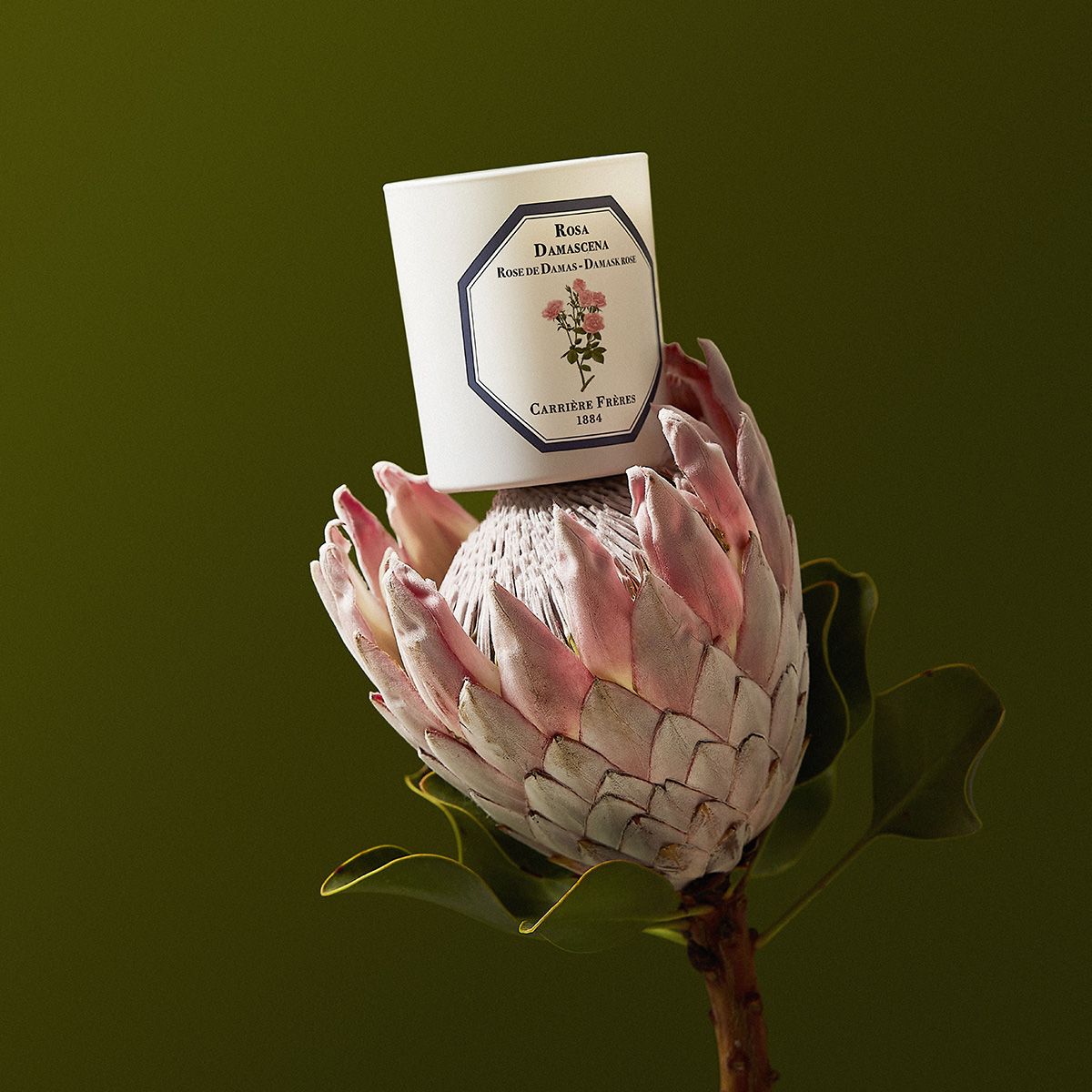 Bougie Rosa Damascena