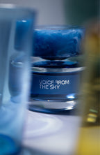 Voice From The Sky