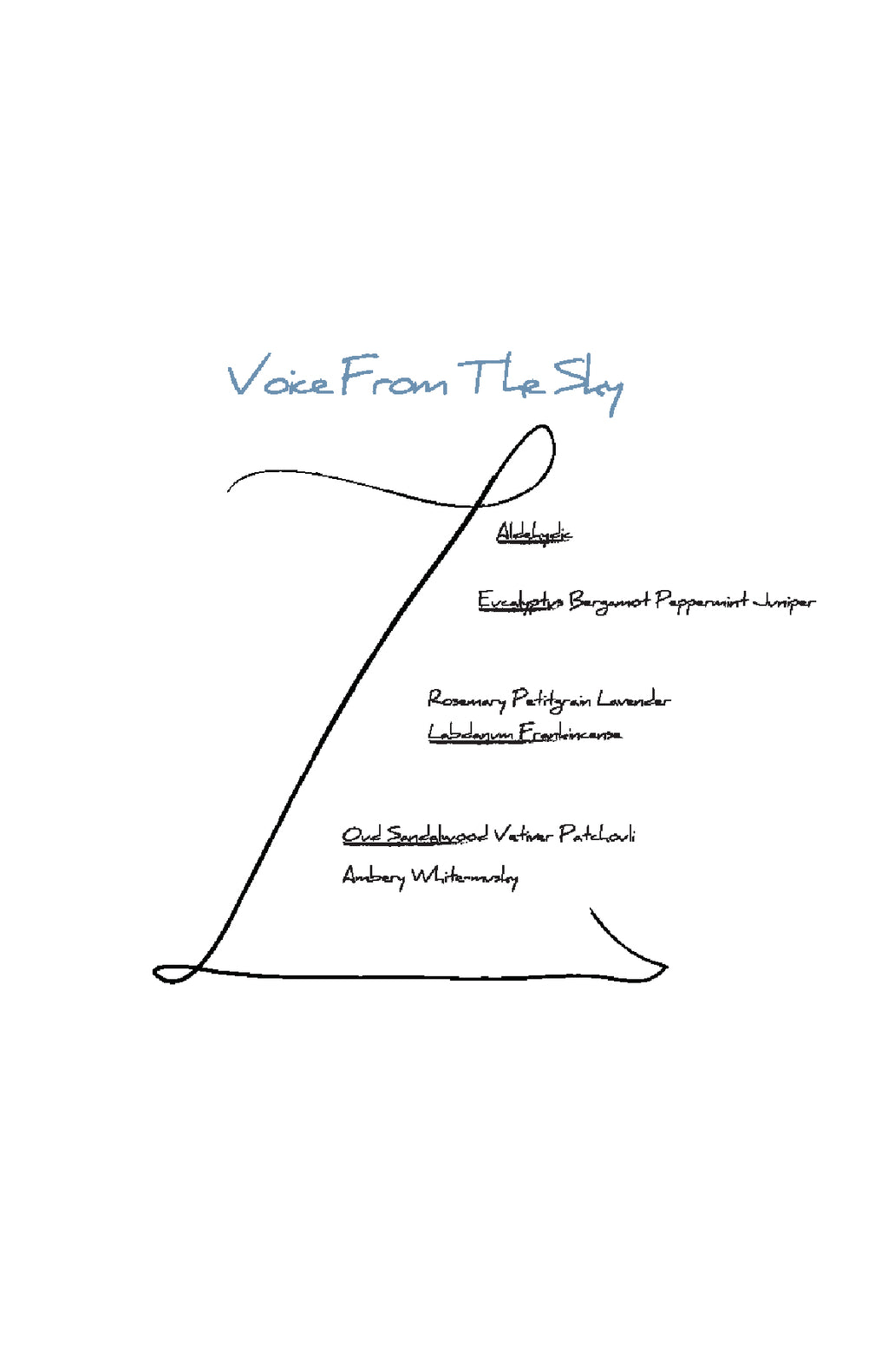 Voice From The Sky