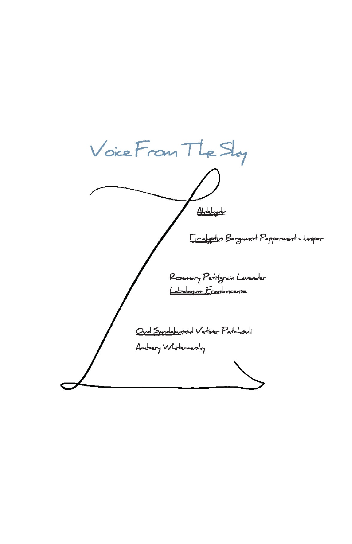 Voice From The Sky