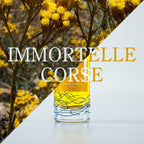 Immortelle Corse