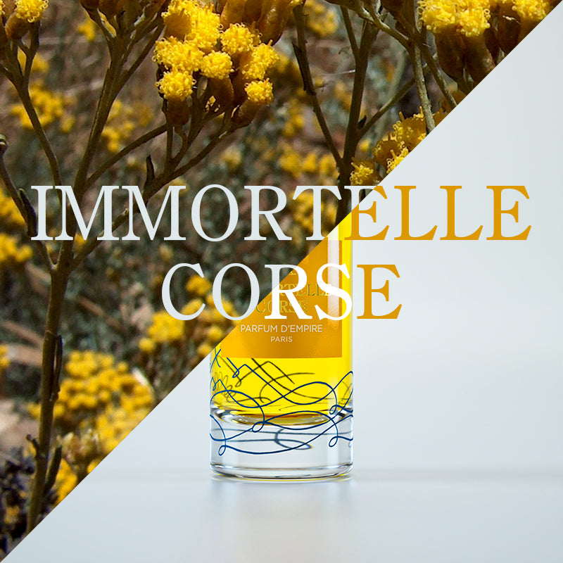 Immortelle Corse